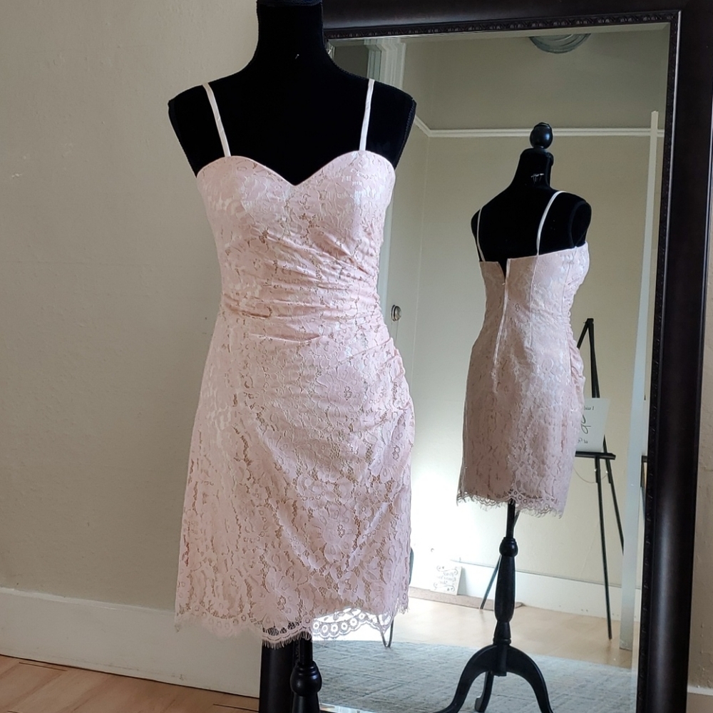 Size 4 Blush pink/champagne lace cocktail dress by Christina Wu